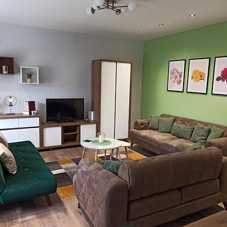 Apartamento Dream House Vrsac Exterior foto